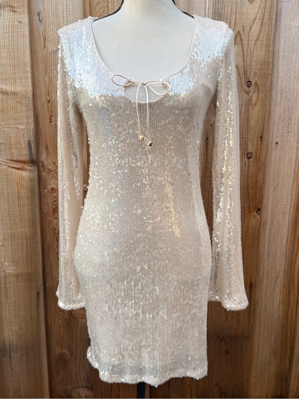 wild fable Champagne Sequin Long Sleeve Scoop Neck Dress